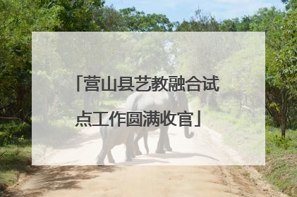 营山县艺教融合试点工作圆满收官
