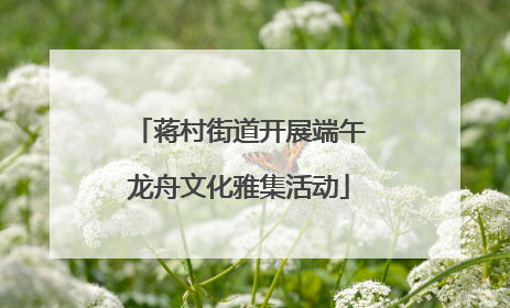 蒋村街道开展端午龙舟文化雅集活动