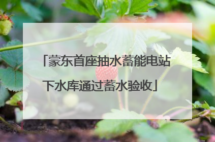 蒙东首座抽水蓄能电站下水库通过蓄水验收