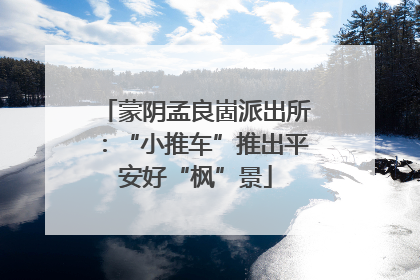 蒙阴孟良崮派出所：“小推车”推出平安好“枫”景