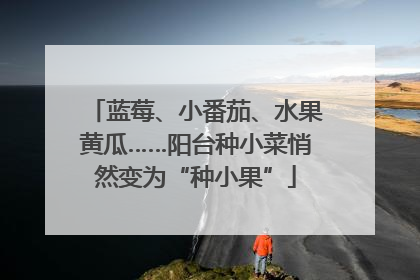 蓝莓、小番茄、水果黄瓜……阳台种小菜悄然变为“种小果”