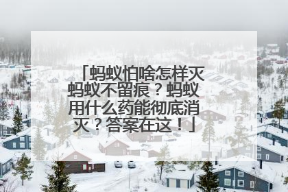 蚂蚁怕啥怎样灭蚂蚁不留痕？蚂蚁用什么药能彻底消灭？答案在这！
