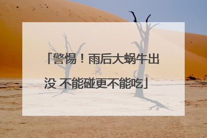 警惕！雨后大蜗牛出没 不能碰更不能吃
