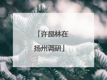 许昆林在扬州调研