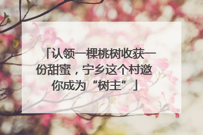 认领一棵桃树收获一份甜蜜，宁乡这个村邀你成为“树主”