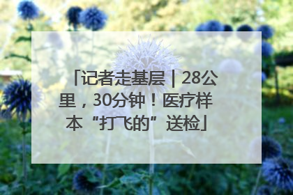 记者走基层｜28公里，30分钟！医疗样本“打飞的”送检