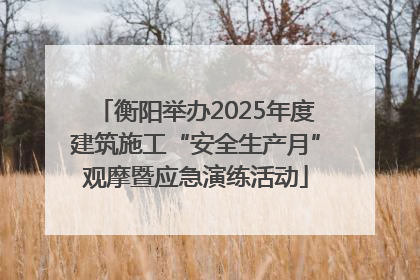 衡阳举办2025年度建筑施工“安全生产月”观摩暨应急演练活动