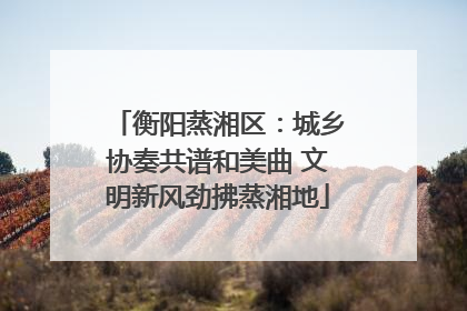 衡阳蒸湘区：城乡协奏共谱和美曲 文明新风劲拂蒸湘地