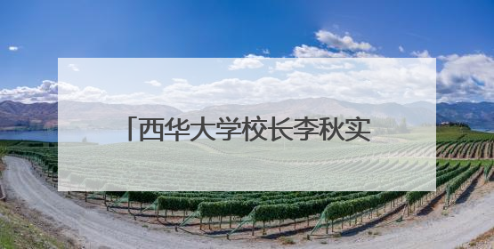 西华大学校长李秋实：乐山“智慧低空”大有可为｜西望四川