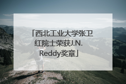 西北工业大学张卫红院士荣获J.N.Reddy奖章