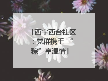 西宁西台社区：党群携手 “粽”享温情
