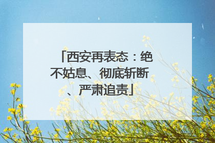 西安再表态：绝不姑息、彻底斩断、严肃追责