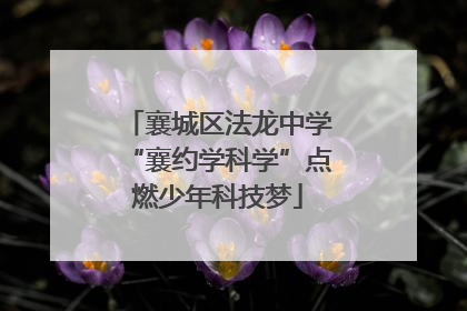 襄城区法龙中学“襄约学科学”点燃少年科技梦