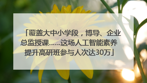 覆盖大中小学段，博导、企业总监授课……这场人工智能素养提升高研班参与人次达30万