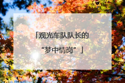观光车队队长的“梦中情岗”