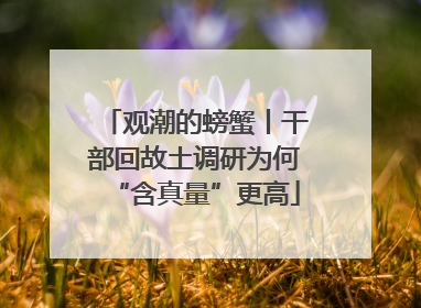 观潮的螃蟹丨干部回故土调研为何“含真量”更高