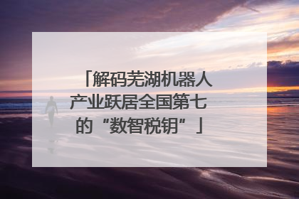 解码芜湖机器人产业跃居全国第七的“数智税钥”