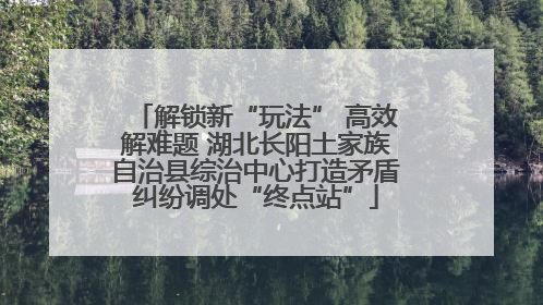 解锁新“玩法” 高效解难题 湖北长阳土家族自治县综治中心打造矛盾纠纷调处“终点站”
