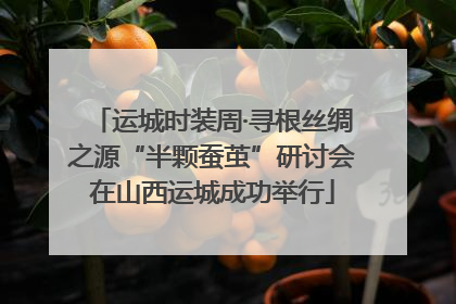 运城时装周·寻根丝绸之源“半颗蚕茧”研讨会在山西运城成功举行