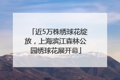 近5万株绣球花绽放，上海滨江森林公园绣球花展开幕