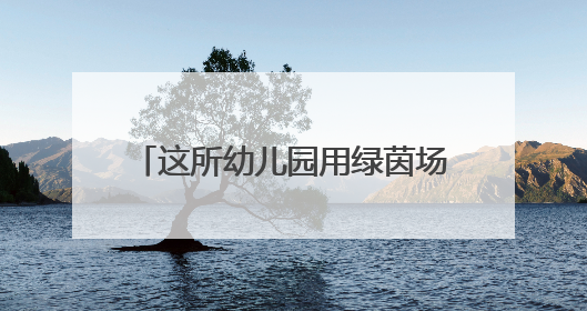 这所幼儿园用绿茵场“破题”幼小衔接