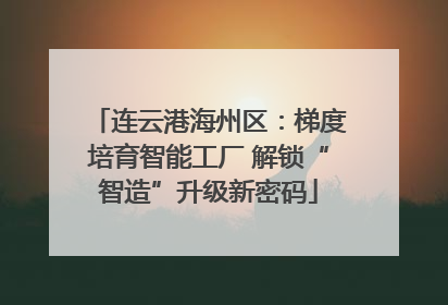 连云港海州区：梯度培育智能工厂 解锁“智造”升级新密码