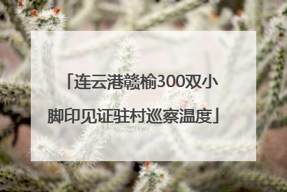 连云港赣榆300双小脚印见证驻村巡察温度