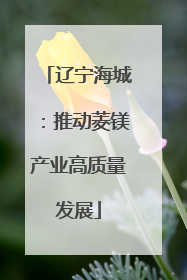 辽宁海城：推动菱镁产业高质量发展