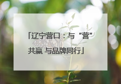 辽宁营口：与“营”共赢 与品牌同行