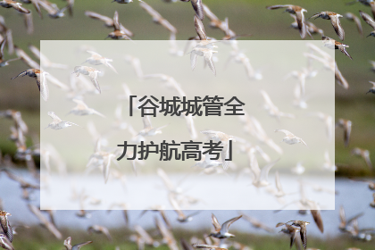 谷城城管全力护航高考