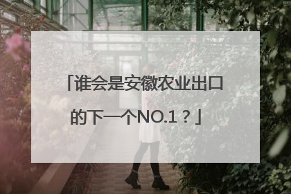 谁会是安徽农业出口的下一个NO.1？