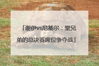 谢伊vs尼基尔：堂兄弟的总决赛席位争夺战