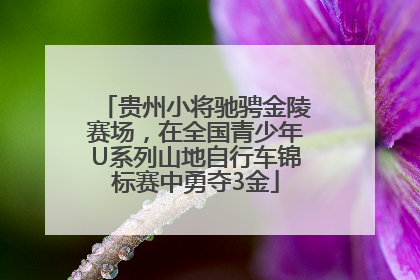 贵州小将驰骋金陵赛场，在全国青少年U系列山地自行车锦标赛中勇夺3金