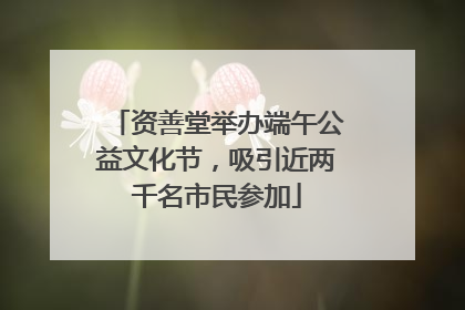 资善堂举办端午公益文化节，吸引近两千名市民参加