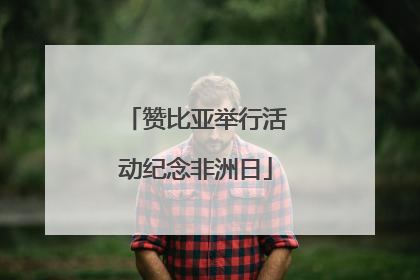赞比亚举行活动纪念非洲日