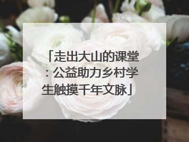 走出大山的课堂：公益助力乡村学生触摸千年文脉