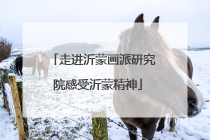 走进沂蒙画派研究院感受沂蒙精神