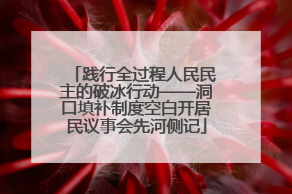 践行全过程人民民主的破冰行动——洞口填补制度空白开居民议事会先河侧记