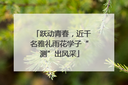 跃动青春，近千名雅礼雨花学子“测”出风采