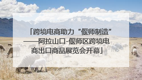 跨境电商助力“偃师制造”——阿拉山口-偃师区跨境电商出口商品展览会开幕