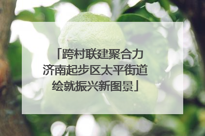跨村联建聚合力 济南起步区太平街道绘就振兴新图景