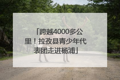 跨越4000多公里！拉孜县青少年代表团走进杨浦