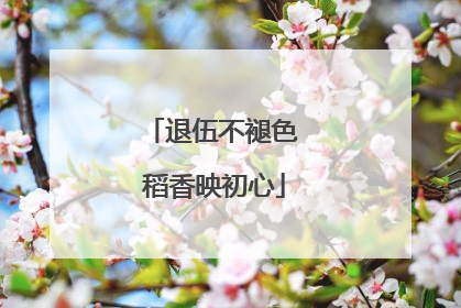 退伍不褪色 稻香映初心