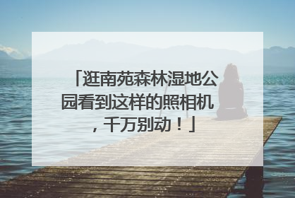 逛南苑森林湿地公园看到这样的照相机，千万别动！