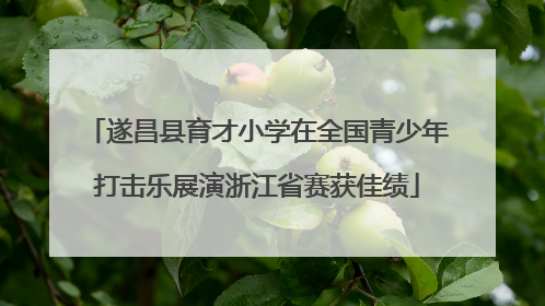 遂昌县育才小学在全国青少年打击乐展演浙江省赛获佳绩