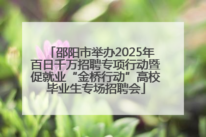 邵阳市举办2025年百日千万招聘专项行动暨促就业“金桥行动”高校毕业生专场招聘会