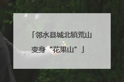 邻水县城北镇荒山变身“花果山”