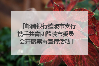 邮储银行醴陵市支行携手共青团醴陵市委员会开展禁毒宣传活动