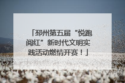 邳州第五届“悦跑阅红”新时代文明实践活动燃情开赛！