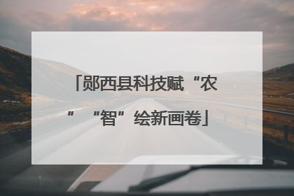 郧西县科技赋“农”“智”绘新画卷